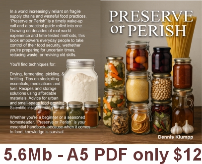 Preserve or Perish (PDF) cover